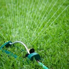 watering-lawn.jpg