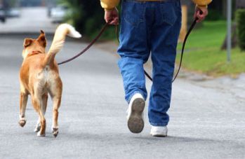 walking-the-dog.jpg